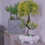 Modern House Monolocali