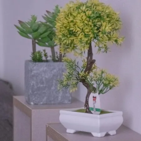 Modern House Monolocali